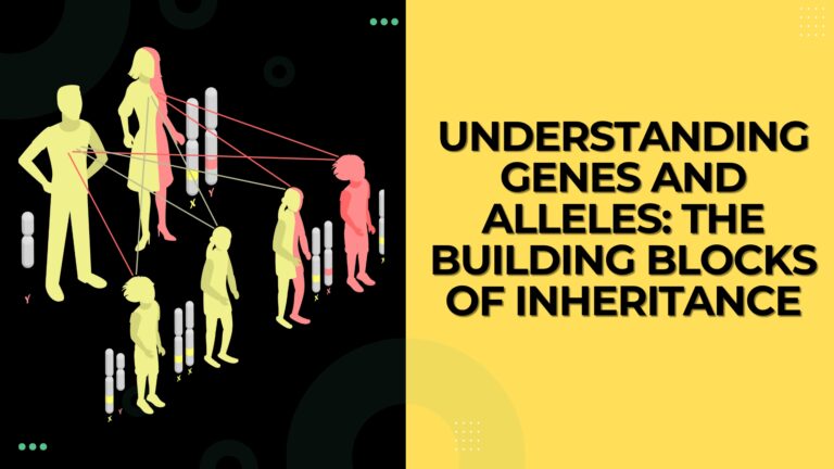 Understanding Genes and Alleles: The Building Blocks of Inheritance